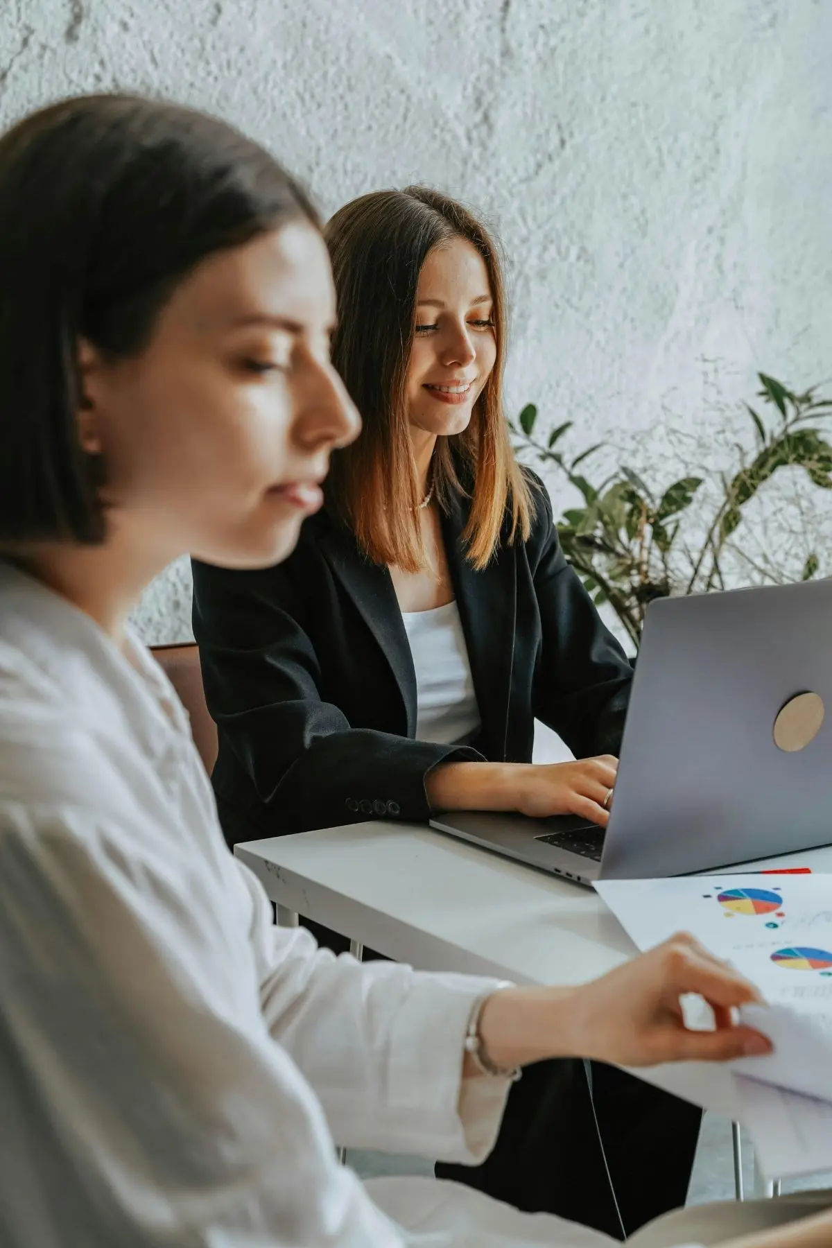 Two female entrepreneurs working at a desk on their laptops with a green plant in the background
